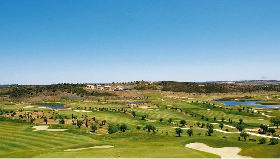 DHM Golf Festival